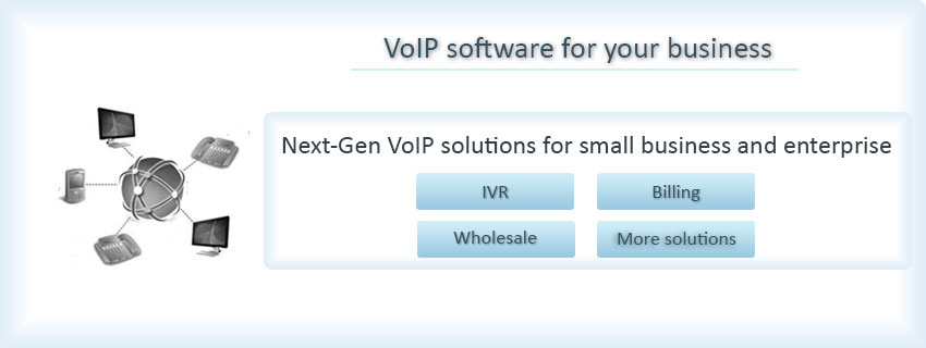 VoIP business